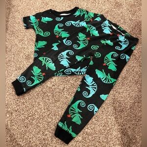 Carters Black, Green, Blue, and Red Pajamas Set with Iguana Design